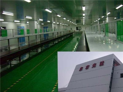 東君光能